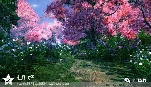 小初音大冒险