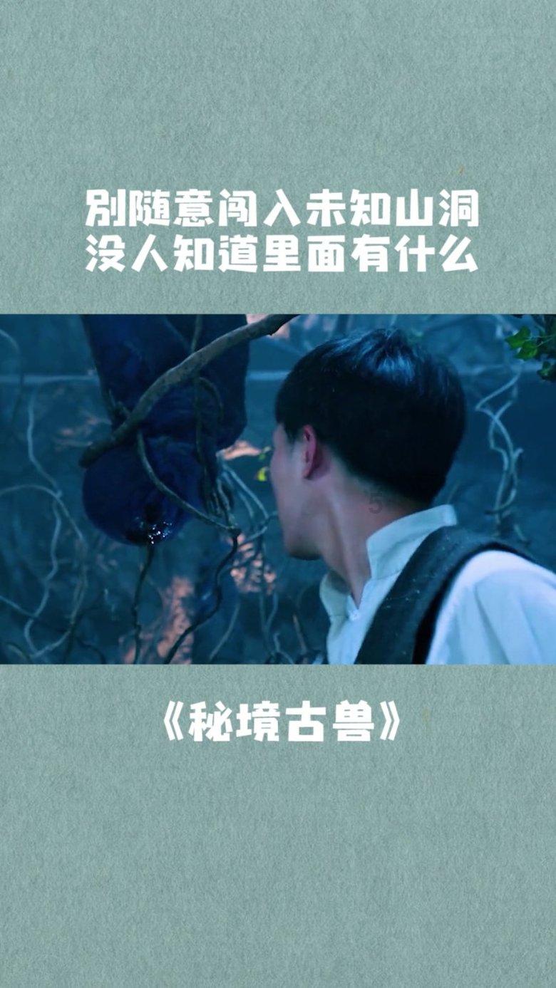 暴走小飞机