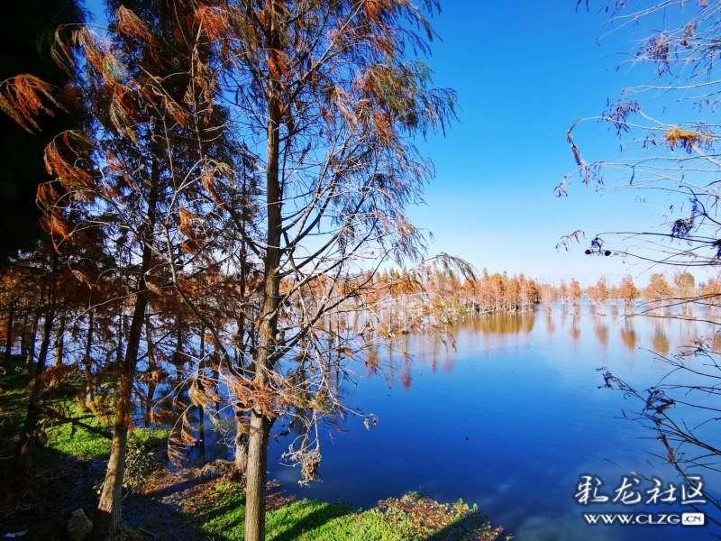 涉人格权纠纷 刘诗诗起诉医美公司侵权