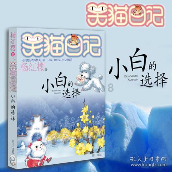 无惧极寒挑战!美的中央空调打造“冰岛夏威夷”
