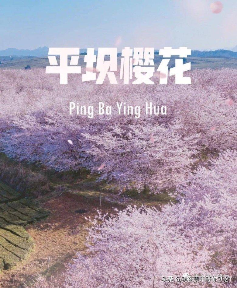 黄体酮:女性健康的守护神
