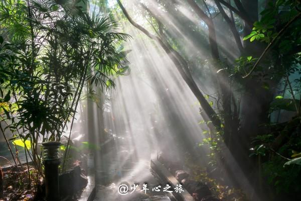 南昌安义推出新IP“山水人家好安义”,打造美丽中国安义样板