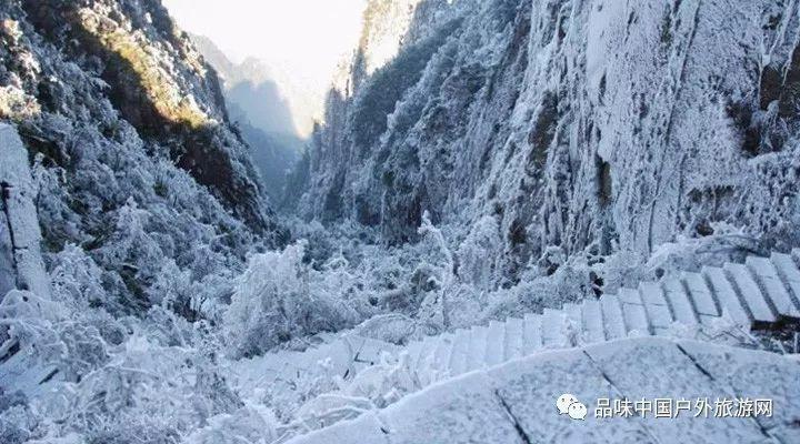 花椒、麻椒和胡椒是一回事吗?烹饪菜肴时应该选择哪一种呢?