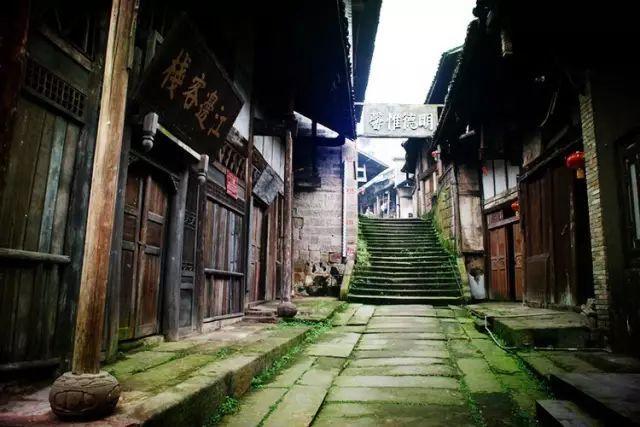 饿狮救援