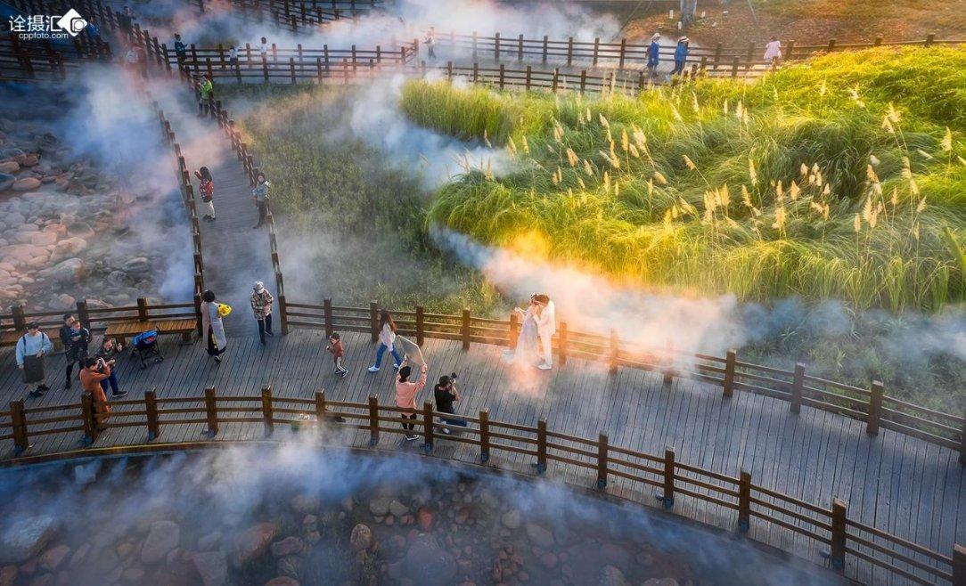 资阳雁江:擦亮地标名片 乡村振兴“橘”势好